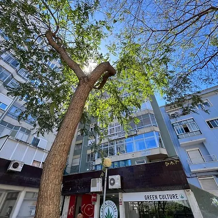 Cozy In W Swing Chairs شقة *