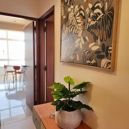 Cozy In W Swing Chairs * ألمادا